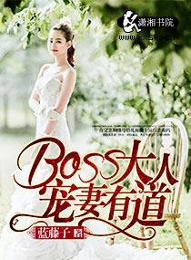 boss大人宠无度!