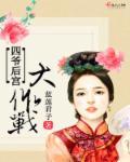 四爷宫斗嘛完整版