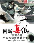 网游真仙全文免费阅读
