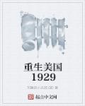 重生1929美国混黑道的