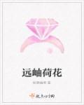 荷花远什么成语