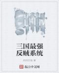 三国最强反贼系统攻略