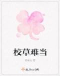 校草难撩