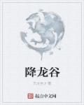 降龙谷水上乐园门票