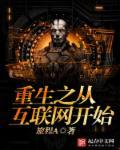 重生从互联网到星辰