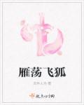 飞狐简介