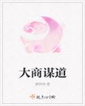 大商之道招商