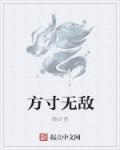 1无敌4方寸