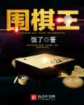 围棋王昊洋