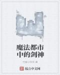 魔法都市中的剑神有哪些