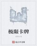单人极限流卡牌
