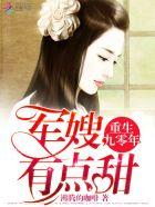 重生九零军嫂人生