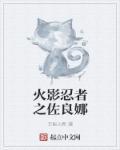 火影忍者佐良娜的崛起
