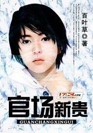 官场新贵正版