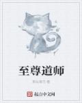 师道至尊什么意思