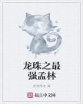 龙珠之最强复制免费阅读