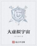 虚拟宇宙公司有多少尊者