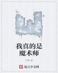 我真的是魔术师百度