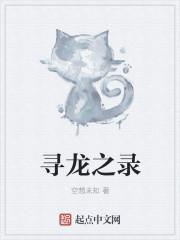 寻龙秘闻录 第193章