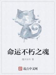 不朽之旅攻略