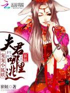 宠爱夫君