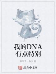 我dna是什么意思