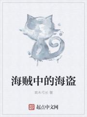 海盗原型