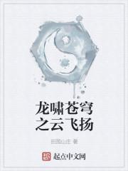 龙啸云实力
