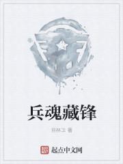 电视连续剧兵魂