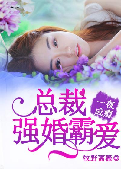 一夜情深高冷总裁宠妻成瘾