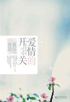 爱情的开关讲了什么
