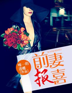 前妻有喜了免费全文阅读一豆丁丁