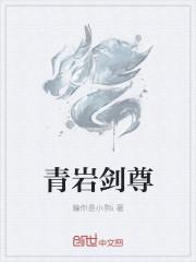 剑尊青石细语