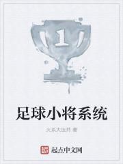 足球小将技能