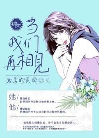 当我们再相见歌词