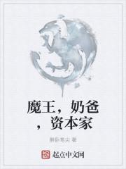 魔王奶爸是什么类型的