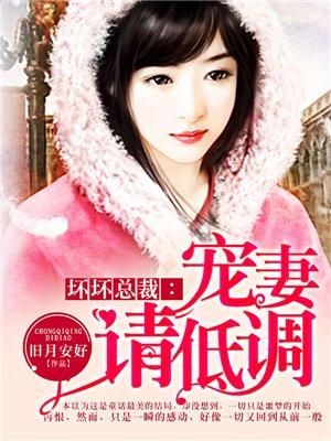 坏坏总裁放肆宠全文免费阅读
