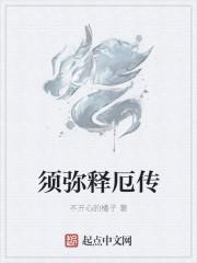 须弥释厄传主要讲什么