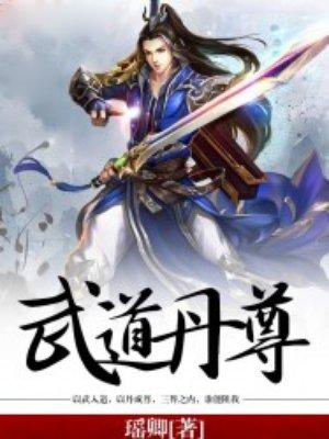 武道丹尊免费完整版