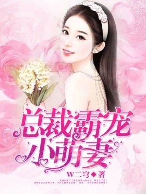 霸道总裁的私有宝贝