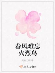 春风磂火