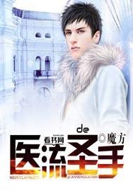 医流高手