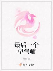 最后一个望气师TXT