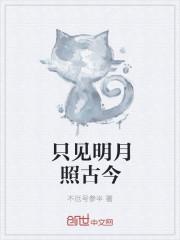 明月照见古今歌词