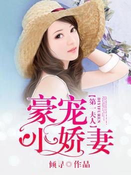 第一夫人豪宠小娇妻免费阅读一一