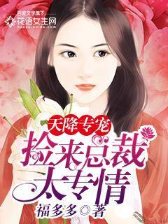 天降专宠捡来总裁太钟情福多多