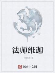 法师维迦百科