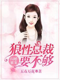 闪婚霸爱狼性总裁太无耻免费阅读