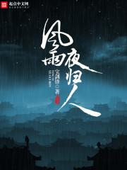 风雨夜归人后半句怎么说