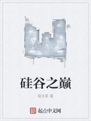 硅谷 mountain view
